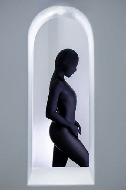 ZD03 Icy Skin Beauty