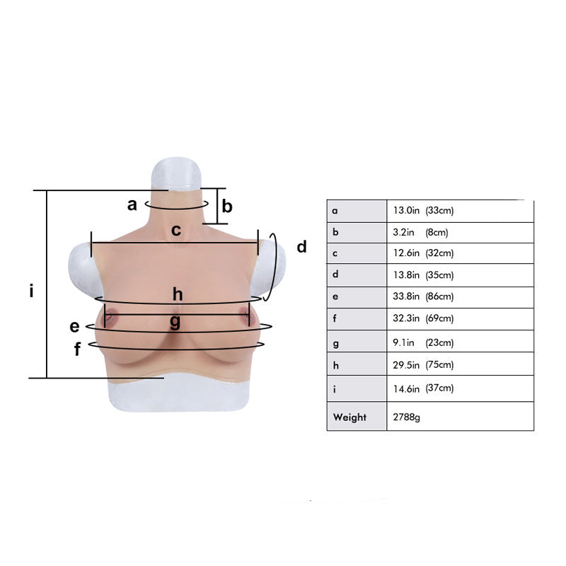 E-Cup-Brüste Ost-West-Form