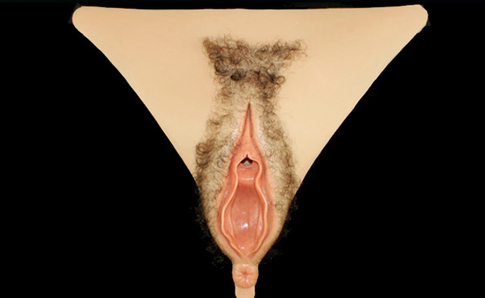 Silikon-Hose Vagina T16