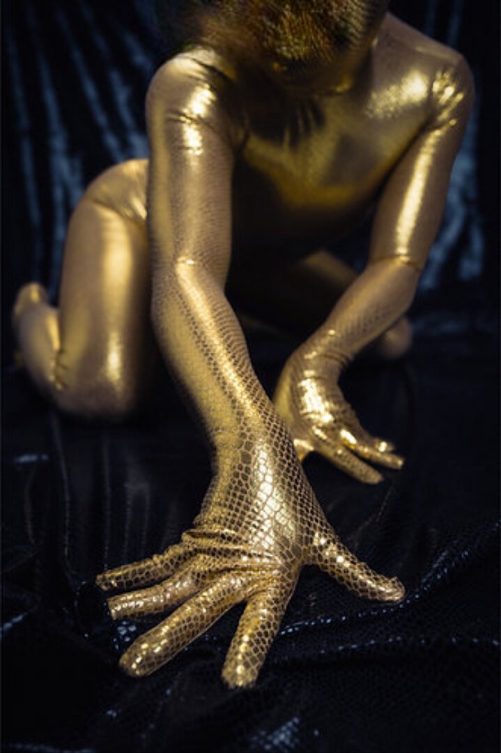 ZD15S Golden Krait & Silver Krait